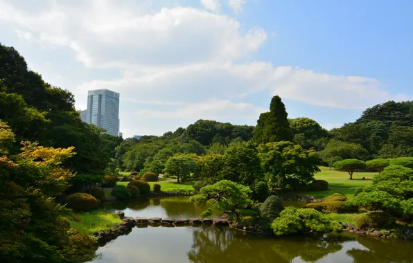 Picture Nature, Trees, Japan, Pond, Park, Japan, Nature, Park