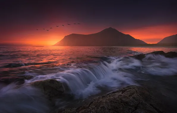 Sea, sunset, mountains, birds, seagulls, Norway, Norway, The Lofoten Islands