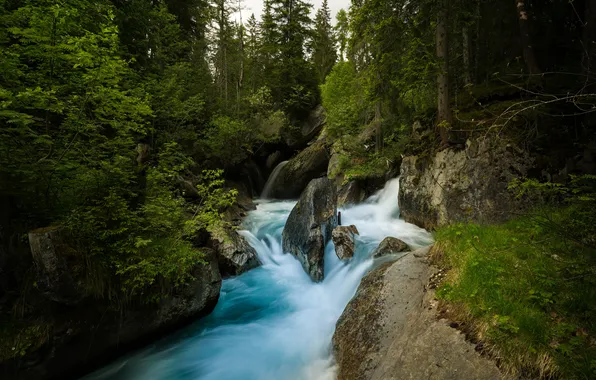 Picture forest, nature, river, waterfall