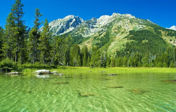 Water, landscape, mountains, nature, Park, photo, USA, Grand Teton