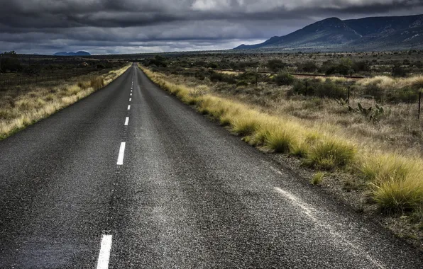 Road, field, the sky