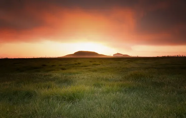 Field, landscape, sunset, nature