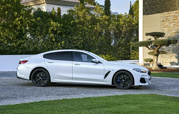 Picture white, lawn, coupe, BMW, Gran Coupe, 840i, 8-Series, 2019