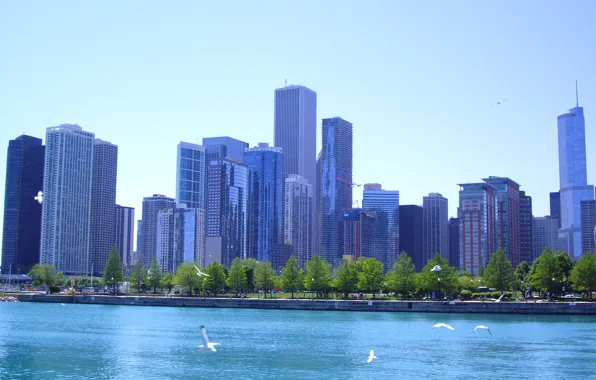 Picture Chicago, Illinois, buildings