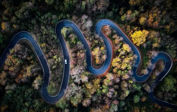 Picture road, autumn, forest