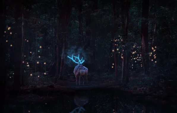 Picture wallpaper, Glow, Neon, Forest, Graphics, Horns, Deer