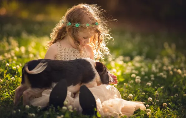 Summer, light, flowers, childhood, pose, glade, spring, dress