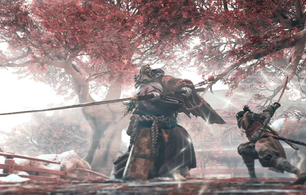 Leaves, the game, Japan, wolf, sword, battle, sword, art