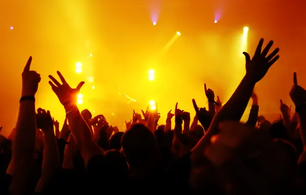 People, hands, musician, floodlight, Palas