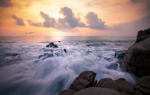 Sea, wave, the sky, stones, shore, seagulls