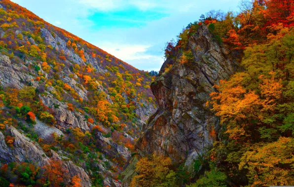 Autumn, trees, mountains, nature, rocks, colors, Nature, trees
