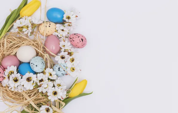 Flowers, Spring, Tulips, Easter, Eggs, Holiday, Socket