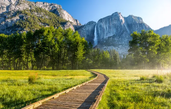 Forest, trees, mountains, waterfall, CA, track, USA, Yosemite National Park