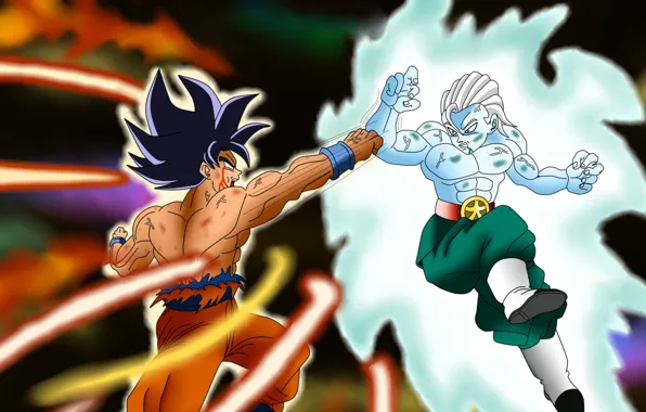 DBS, game, anime, fight, asian, martial artist, manga, oriental