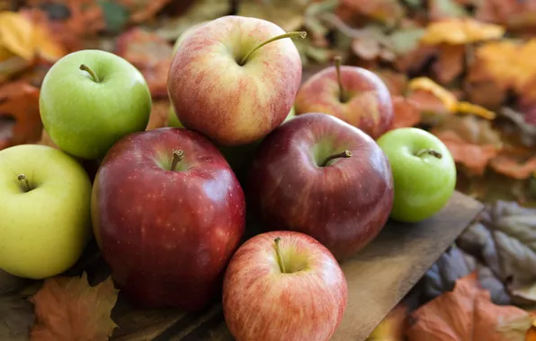Picture autumn, apples, garden, harvest
