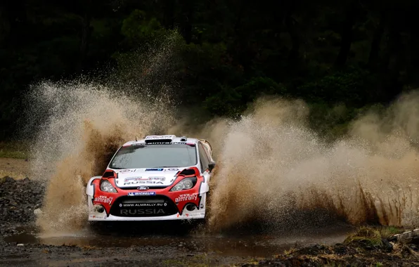 Road, squirt, background, Ford, skid, race, car, new Zealand