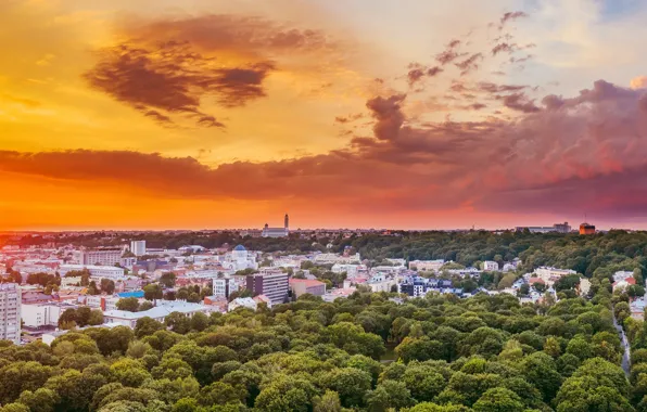 The city, Lithuania, Kaunas