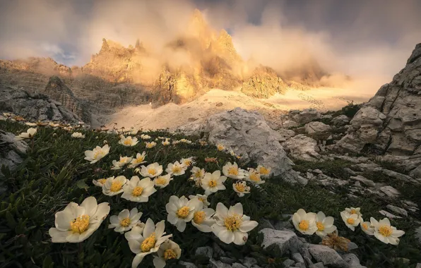 Picture white, tops, haze, anemones, clouds, the sky, rocks, stones