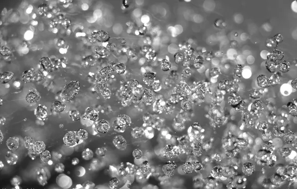 Water, drops, black and white, water drops