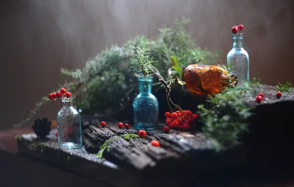 Glass, drops, berries, rain, Board, still life, needles, Rowan