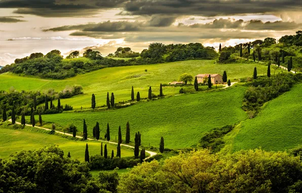 Greens, the sky, clouds, trees, landscape, nature, house, hill