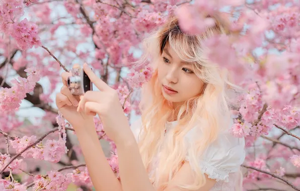 Beautiful, Asian, Model, Tree, Flowers, Blonde, Camera, Woman