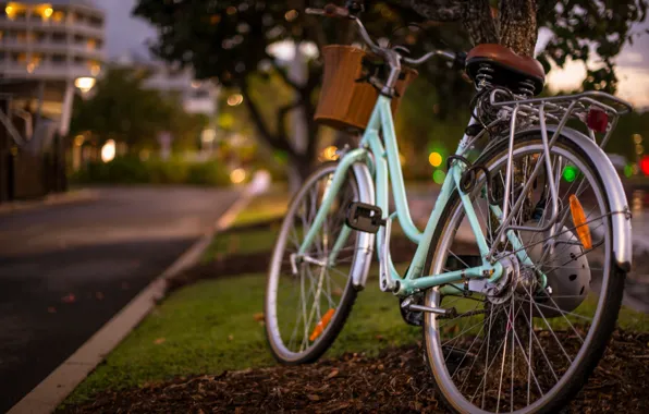 Bike, Bokeh, Bicycle Love