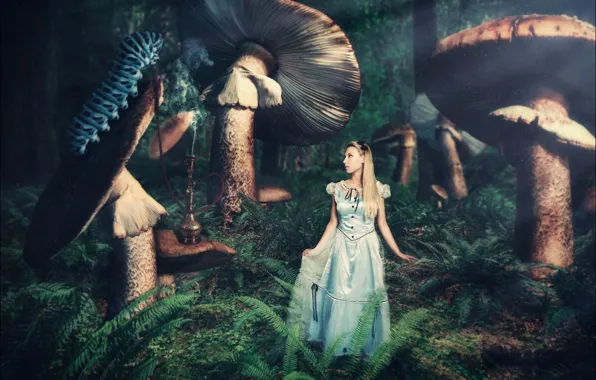 Girl, caterpillar, mushrooms, fantasy, Alice in chedes does, photoart