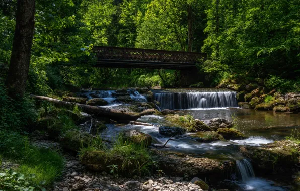Picture greens, forest, the sun, trees, bridge, stream, stones, waterfall