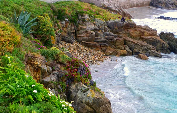 Picture sea, flowers, stones, shore, plants, fisherman, Spain, the bushes