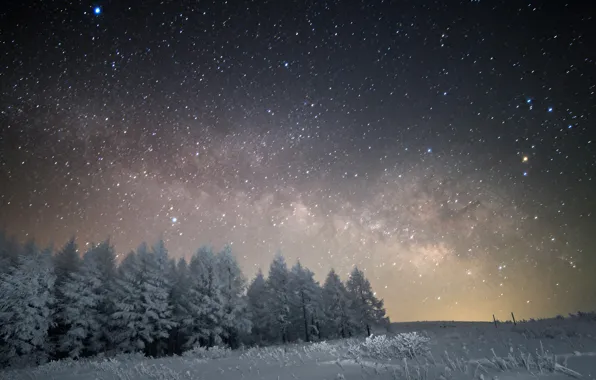 Space, stars, snow, trees, night, space, the milky way
