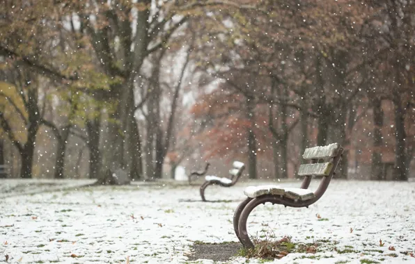 Picture autumn, Park, bench