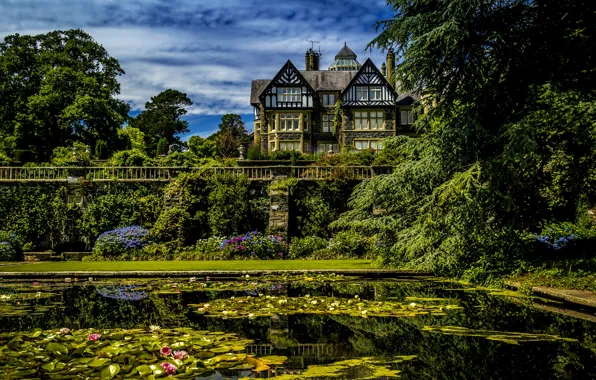 Picture greens, water, trees, house, pond, garden, UK, the bushes