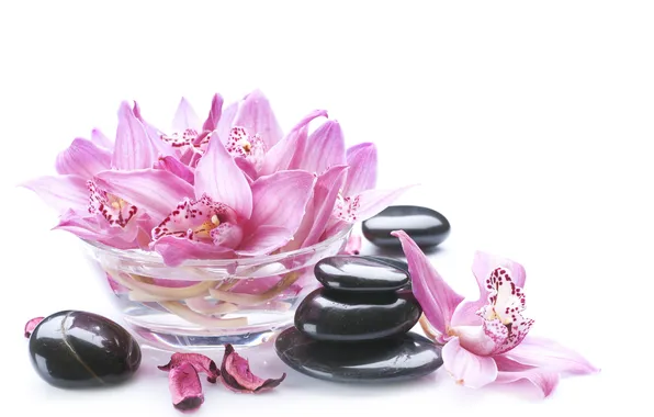 Picture petals, bowl, Orchid, Orchid, petals, bowl, Spa stones, Spa stones