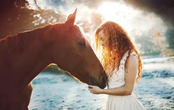 Girl, light, horse, horse, portrait, red