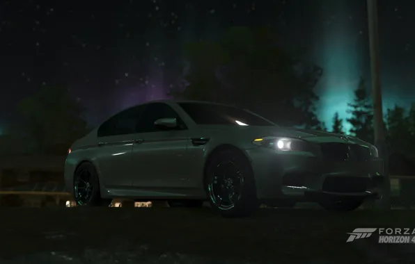 BMW, Car, Sky, Stars, Wood, Tree, Game, F10
