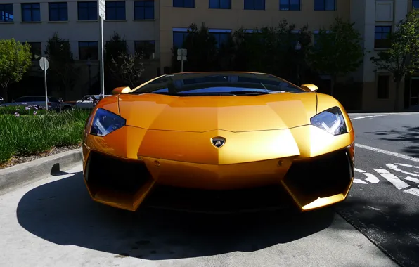 Picture reflection, yellow, shadow, lamborghini, yellow, the front, aventador, lp700-4