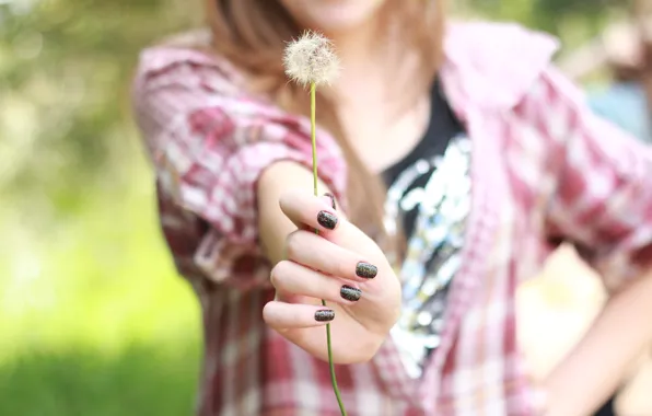 Picture greens, girl, nature, background, dandelion, Wallpaper, mood, plant