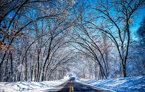 Winter, road, the sky, snow, trees, tunnel