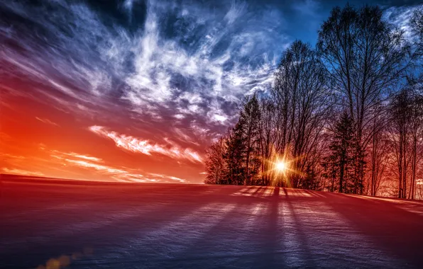 Picture the sun, snow, trees, sunset, Norway, Norway