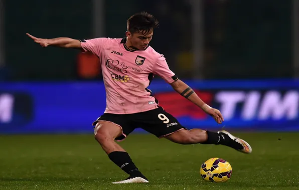 Picture pink, Paulo Dybala, joma, Argentine football player, palermo