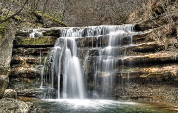 Forest, nature, river, waterfall