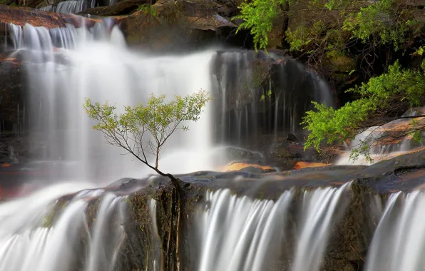 Picture waterfall, Australia, New South Wales, Blue Mountains, Wentworth