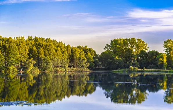 Picture the sky, clouds, trees, lake, reflection, mirror, male, they say