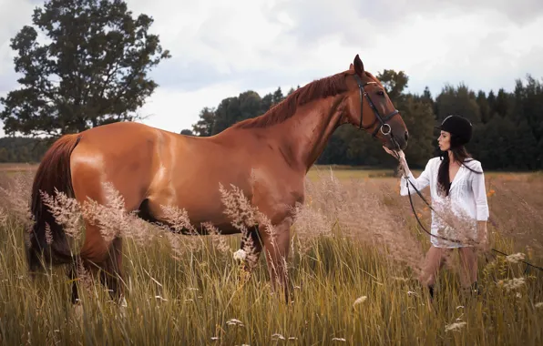 Field, forest, grass, girl, clouds, pose, horse, horse
