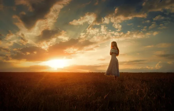 GRASS, HORIZON, The SKY, FIELD, DRESS, SUNSET, LIGHT, RAYS