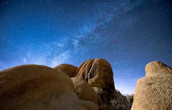 Download wallpaper The Milky Way, Joshua Tree, Milky Way, Arch Rock ...