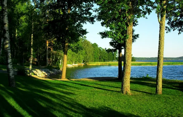 Picture nature, river, forest, trees