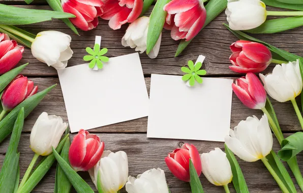 Flowers, tulips, red, white, wood, flowers, tulips, postcard