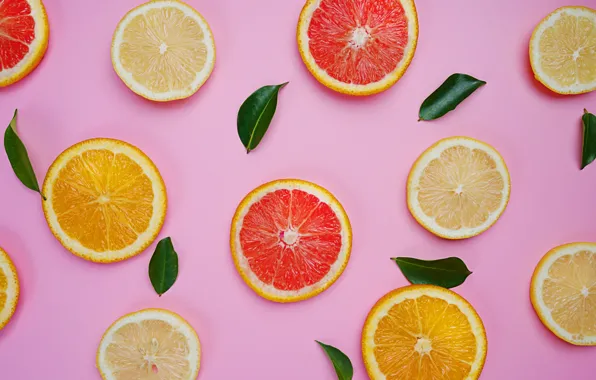 Picture lemon, orange, lemon, fruit, slices, grapefruit, fruit, orange